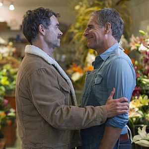 Bilder Murray Bartlett