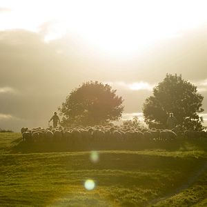 Bilder Am grünen Rand der Welt