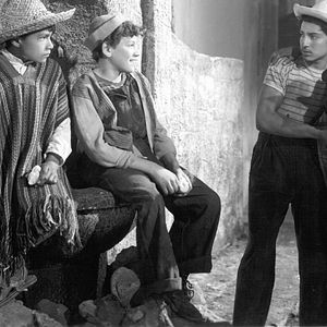 Bilder Die Vergessenen