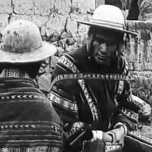 Bilder Blut des Condor