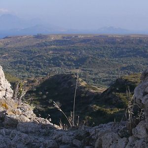 Bilder Wunder der Lebenskraft - Eine Reise zur Heilung der Seele