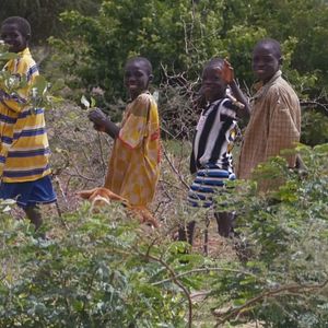 Bilder Wunder der Lebenskraft - Eine Reise zur Heilung der Seele