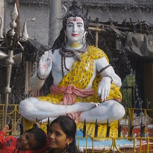 Bilder Wunder der Lebenskraft - Eine Reise zur Heilung der Seele