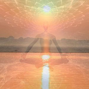 Bilder Wunder der Lebenskraft - Eine Reise zur Heilung der Seele