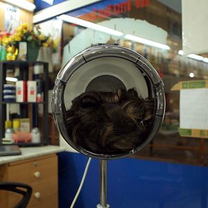 Bilder Ein Papagei im Eiscafé