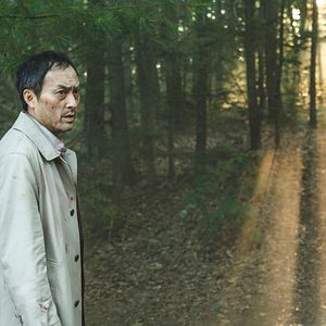 Bilder The Sea Of Trees