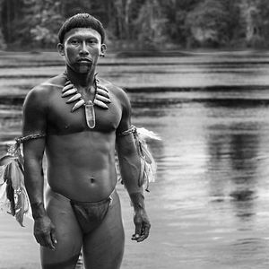 Bilder Nilbio Torres