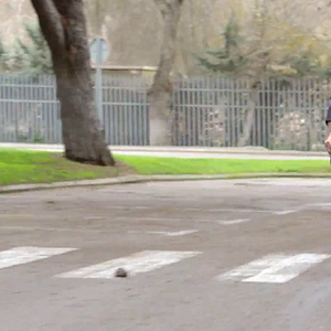 Bilder La invitación del presidente