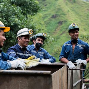 Bilder The Legend of the Palme d'Or