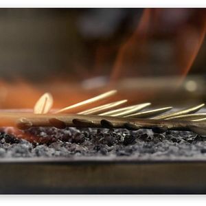 Bilder The Legend of the Palme d'Or