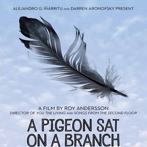 Bilder Eine Taube sitzt auf einem Zweig und denkt über das Leben nach