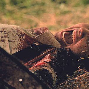 Bilder Hidden in the Woods