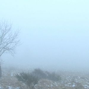 Bilder Büchner.Lenz.Leben