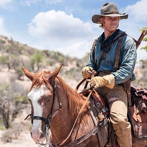 Bilder Trevor Donovan