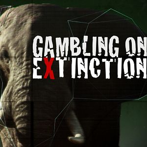 Bilder Der letzte Raubzug