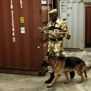 Bilder Der letzte Raubzug