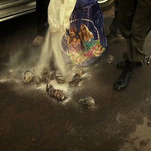 Bilder Der letzte Raubzug