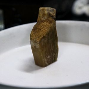 Bilder Der letzte Raubzug