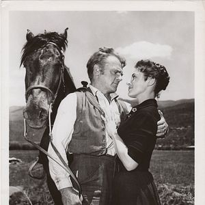 Bilder Im Schatten des Galgens