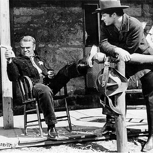 Bilder Im Schatten des Galgens