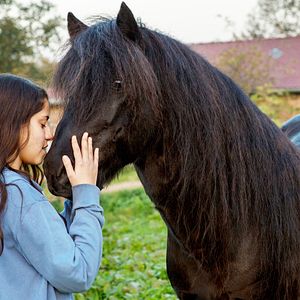 Bilder Almila Bağrıaçık