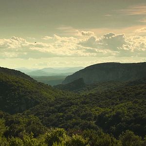 Bilder Tom le cancre