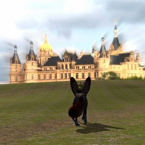 Bilder William und das Petermännchen