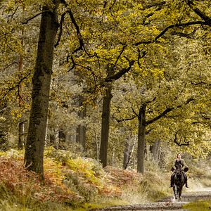 Bilder Georgia Scalliet