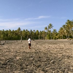 Bilder ThuleTuvalu
