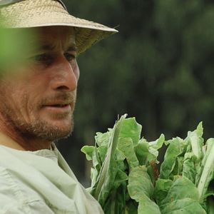 Bilder A Grande Nuvem Cinza