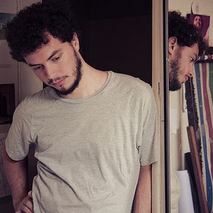 Bilder Animal Político