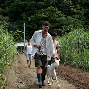 Bilder Tetta Sugimoto