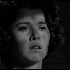 Bilder Der letzte Zug