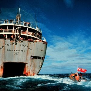 Bilder How To Change The World