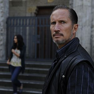 Bilder Von glücklichen Schafen