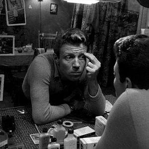 Bilder Der Tiger von New York