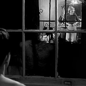 Bilder Der Tiger von New York