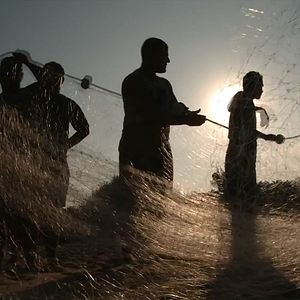 Bilder Desculpe Pelo Transtorno - A História do Bar do Chico