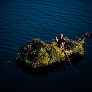 Bilder Human - Die Menschheit