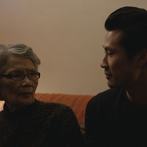 Bilder Feuilles de printemps