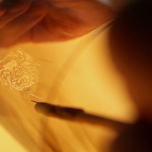 Bilder Le complexe de la salamandre