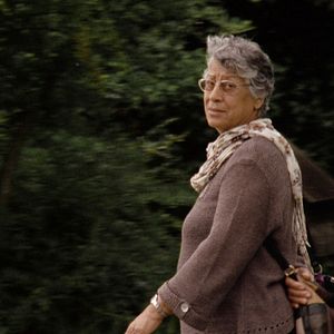 Bilder Iraqi Odyssey