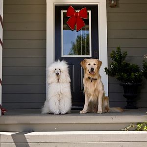 Bilder Die Weihnachtshochzeitsgeschichte