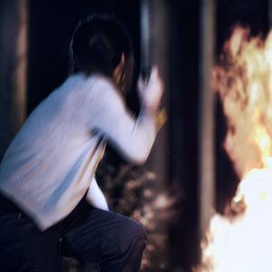 Bilder Lemon Tree Passage