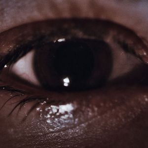 Bilder Lemon Tree Passage