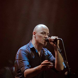 Bilder Dominique A, La mémoire vive