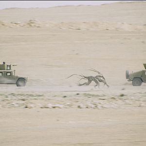 Bilder Monsters: Dark Continent