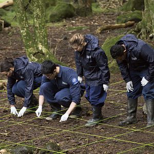 Bilder Brokenwood - Mord in Neuseeland