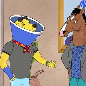 Bilder BoJack Horseman