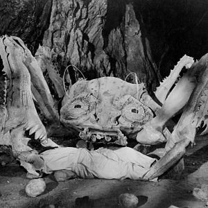 Bilder Attack of the Crab Monsters